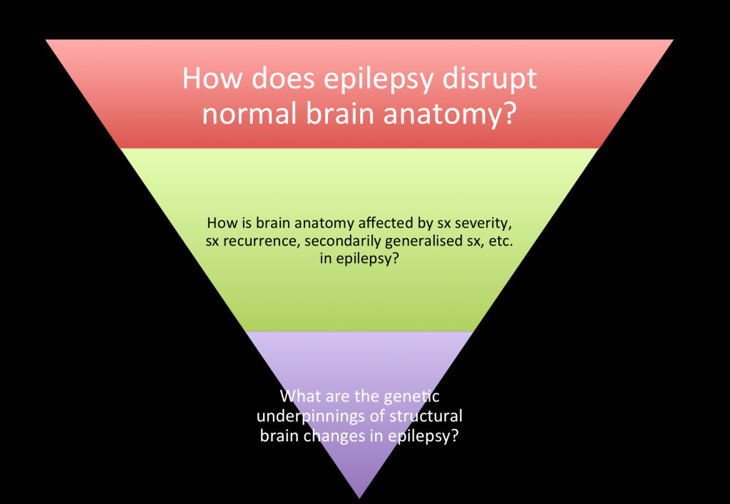 Epilepsy_ResearchQs
